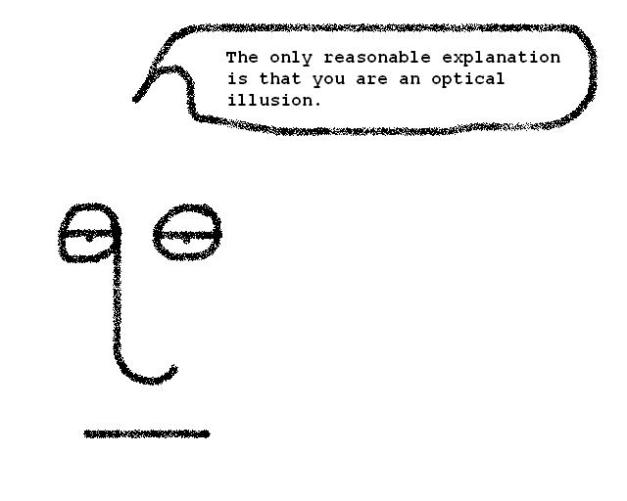 quoopticalillusion